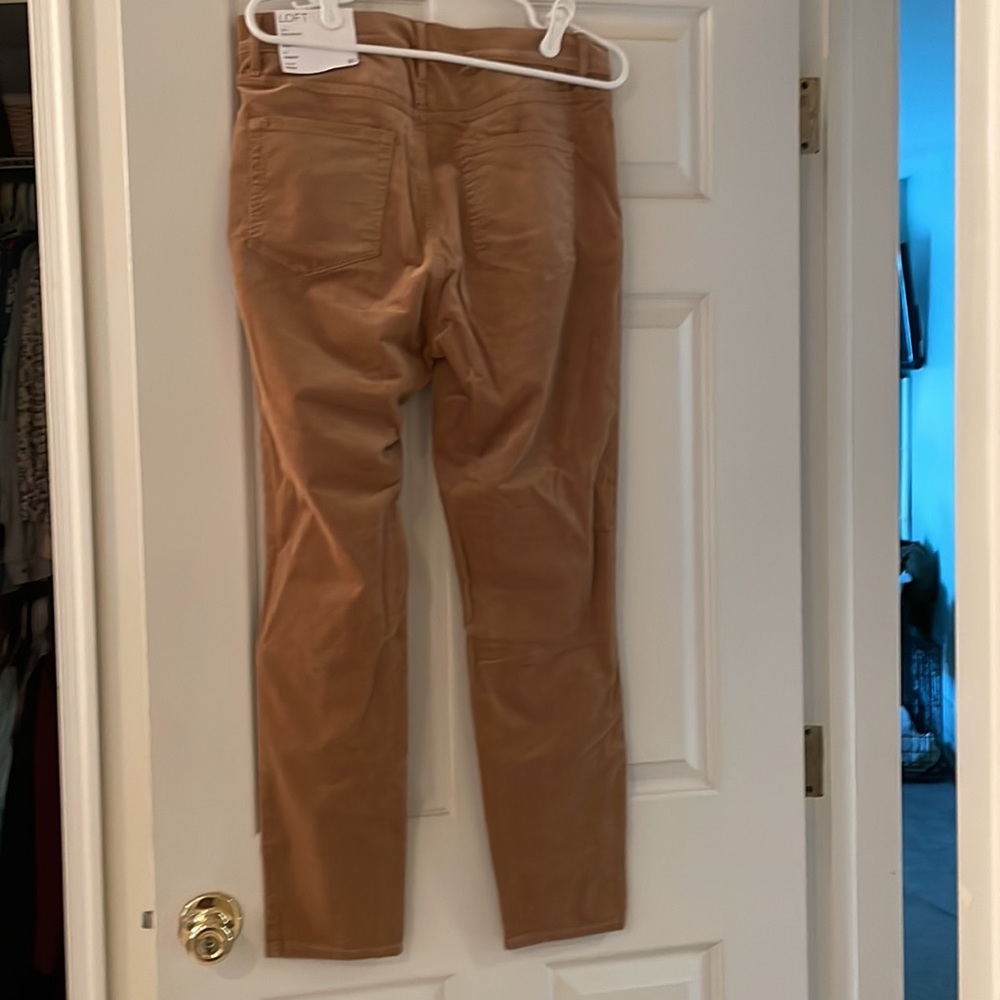 NWT tan corduroy petite skinny pants - Picture 2 of 6